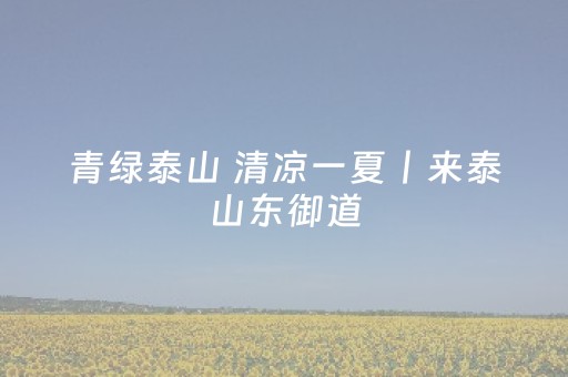 2分钟秒懂！“微乐天津麻将挂件神器”（详细透视教程）-哔哩哔哩