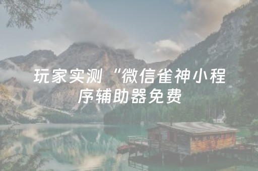 玩家实测“微信雀神小程序辅助器免费（专用辅牌神器免安装）