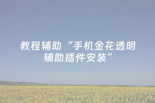 教程辅助“手机金花透明辅助插件安装”（详细透视教程）-哔哩哔哩