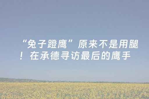 今日实测“开心十三张怎么拿好牌”（详细透视教程）-哔哩哔哩