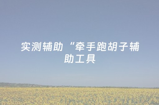 实测辅助“牵手跑胡子辅助工具（专用辅牌神器免安装）