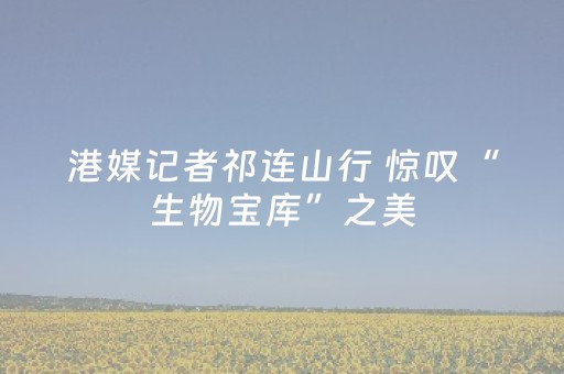 必看教程！“微乐湖南麻将挂神器”（详细辅助教程）-哔哩哔哩