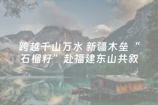 实测结果“怎样检测麻将机是否被安装程序了”（详细透视教程）-哔哩哔哩