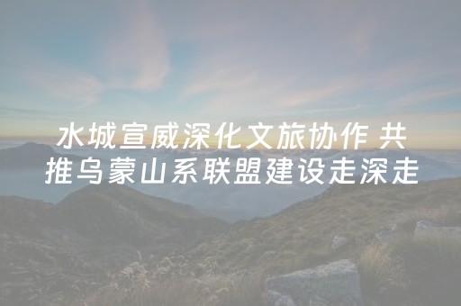 今日实测“闲来十三水有挂吗”（详细开挂教程）-哔哩哔哩