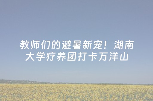 胜率设置方法“决战卡五星游戏辅助器”（详细透视教程）-哔哩哔哩