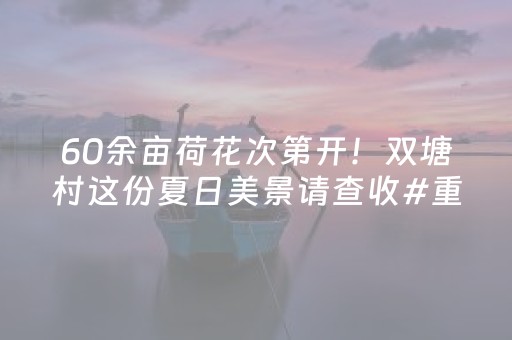 实测分析“微乐小程序免费黑科技”（详细开挂教程）-哔哩哔哩