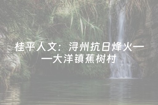 必看教程“QQ红包尾数作弊辅助软件”（详细透视教程）-哔哩哔哩