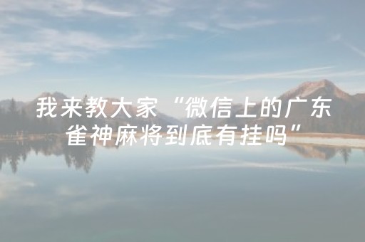 实测分享“微乐辽宁麻将辅牌器”（详细辅助教程）-哔哩哔哩