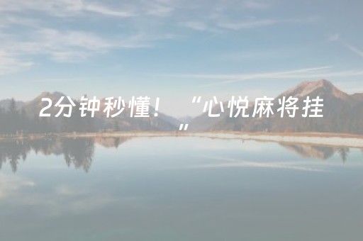 2分钟秒懂！“心悦麻将挂”（详细辅助教程）-哔哩哔哩