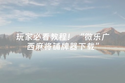 玩家必看教程！“微乐广西麻将铺牌器下载”（详细透视教程）-哔哩哔哩