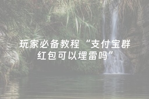 玩家必备教程“支付宝群红包可以埋雷吗”（详细透视教程）-哔哩哔哩