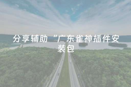 分享辅助“广东雀神插件安装包（助赢神器通用版）