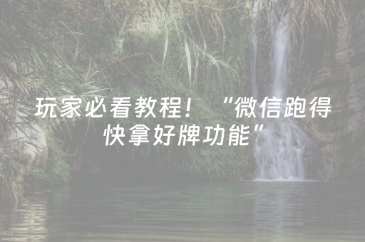 玩家必看教程！“微信跑得快拿好牌功能”（详细辅助教程）-哔哩哔哩