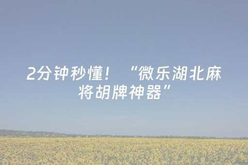 2分钟秒懂！“微乐湖北麻将胡牌神器”（详细透视教程）-哔哩哔哩