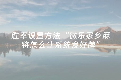 实测分析“微乐云南助赢神器”（详细辅助教程）-哔哩哔哩