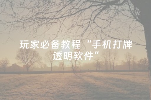 玩家必备教程“手机打牌透明软件”（详细透视教程）-哔哩哔哩