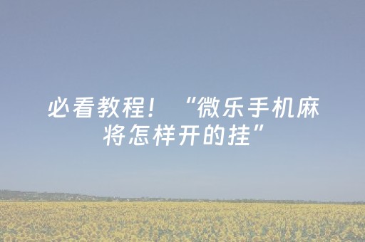 必看教程！“微乐手机麻将怎样开的挂”（详细辅助教程）-哔哩哔哩