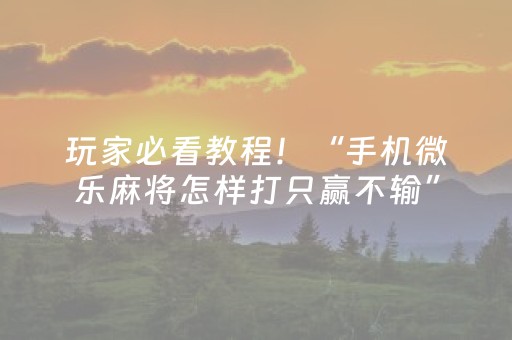 玩家必看教程！“手机微乐麻将怎样打只赢不输”（详细透视教程）-哔哩哔哩