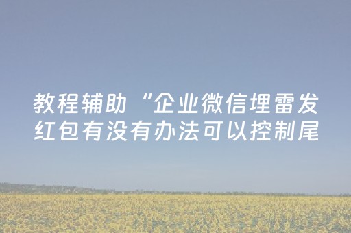 教程辅助“企业微信埋雷发红包有没有办法可以控制尾数”（详细透视教程）-哔哩哔哩