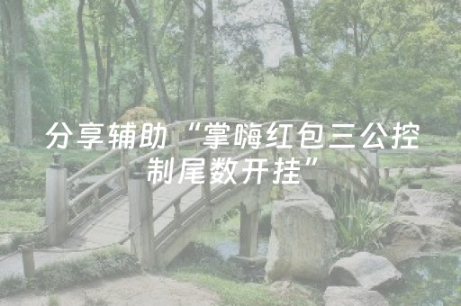 分享辅助“掌嗨红包三公控制尾数开挂”（详细透视教程）-哔哩哔哩