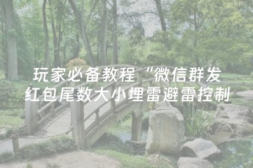 玩家必备教程“微信群发红包尾数大小埋雷避雷控制软件”（详细透视教程）-哔哩哔哩