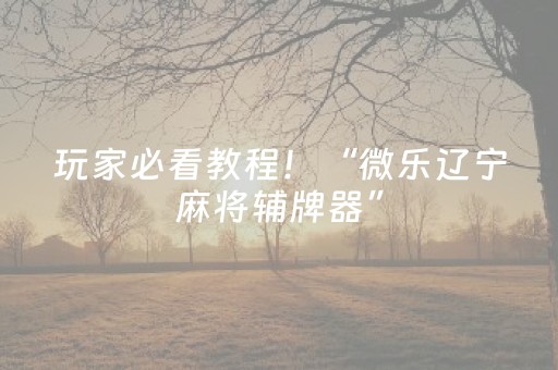 玩家必看教程！“微乐辽宁麻将辅牌器”（详细辅助教程）-哔哩哔哩