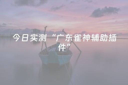 今日实测“广东雀神辅助插件”（详细辅助教程）-哔哩哔哩