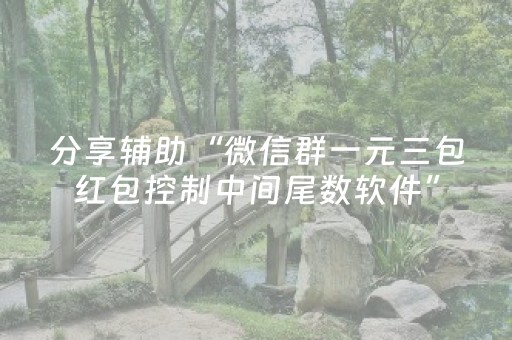 分享辅助“微信群一元三包红包控制中间尾数软件”（详细透视教程）-哔哩哔哩