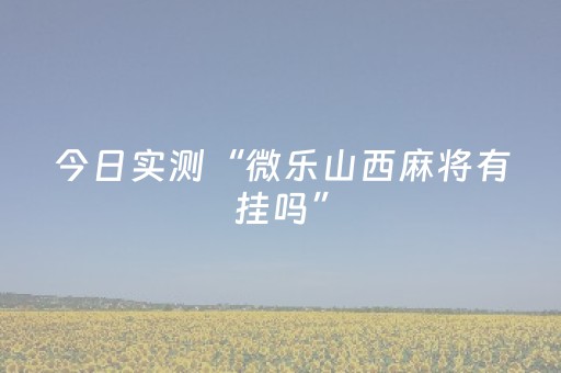 今日实测“微乐山西麻将有挂吗”（详细开挂教程）-哔哩哔哩