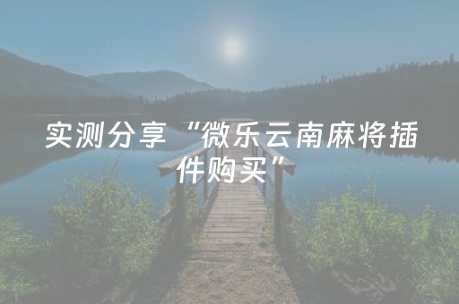 实测分享“微乐云南麻将插件购买”（详细开挂教程）-哔哩哔哩