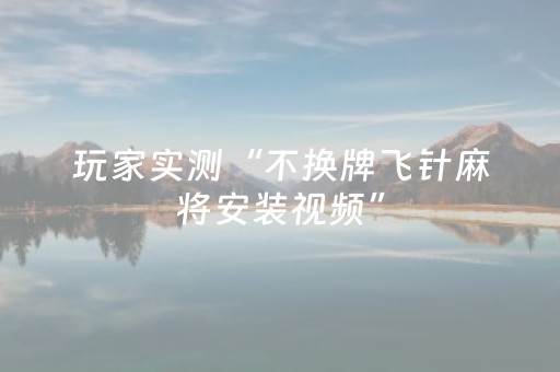 玩家实测“不换牌飞针麻将安装视频”（详细透视教程）-哔哩哔哩