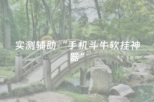 实测辅助“手机斗牛软挂神器”（详细透视教程）-哔哩哔哩