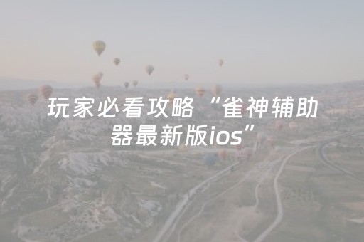 玩家必看攻略“雀神辅助器最新版ios”（详细透视教程）-哔哩哔哩