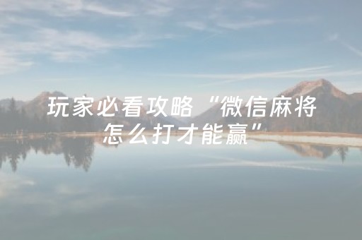 必看教程“闲逸碰胡辅助器”（详细透视教程）-哔哩哔哩