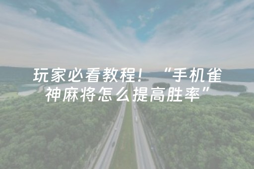 玩家必看教程！“手机雀神麻将怎么提高胜率”（详细辅助教程）-哔哩哔哩