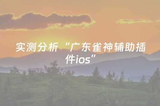 实测分析“广东雀神辅助插件ios”（详细辅助教程）-哔哩哔哩