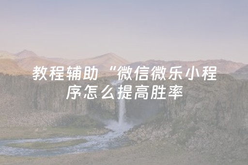 教程辅助“微信微乐小程序怎么提高胜率（助赢神器通用版）