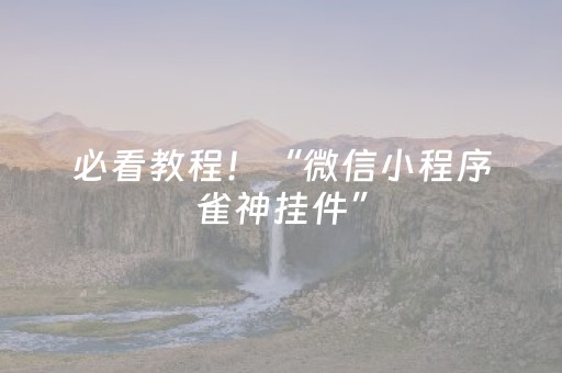 玩家必看教程！“微乐怎么让系统发好牌”（详细辅助教程）-哔哩哔哩