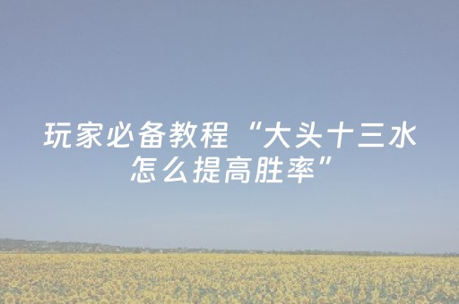 玩家必备教程“大头十三水怎么提高胜率”（详细透视教程）-哔哩哔哩