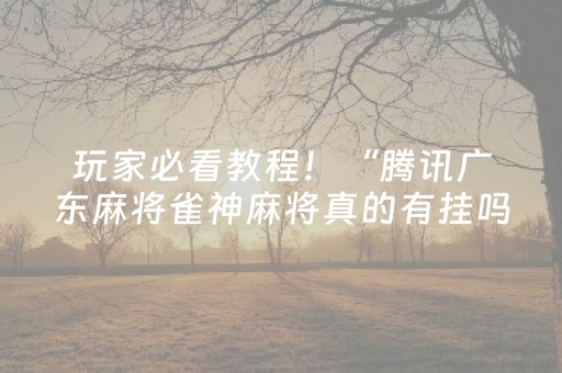 玩家必看教程！“腾讯广东麻将雀神麻将真的有挂吗”（详细辅助教程）-哔哩哔哩