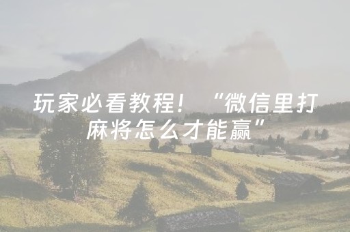 玩家必看教程！“微信里打麻将怎么才能赢”（详细开挂教程）-哔哩哔哩