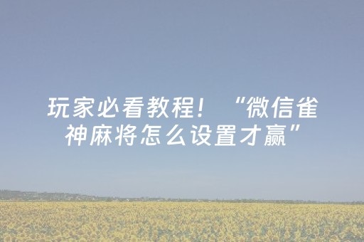 玩家必看教程！“微信雀神麻将怎么设置才赢”（详细透视教程）-哔哩哔哩