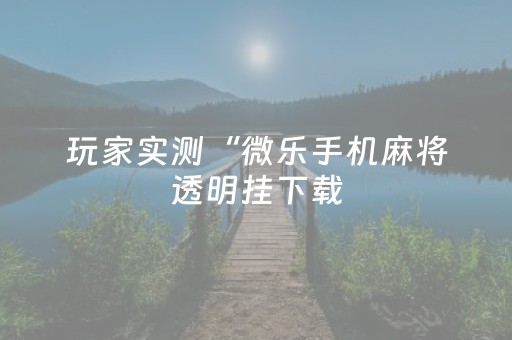 玩家实测“微乐手机麻将透明挂下载（助赢神器通用版）