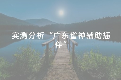 实测分析“广东雀神辅助插件”（详细透视教程）-哔哩哔哩