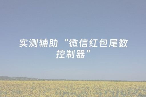 实测辅助“微信红包尾数控制器”（详细透视教程）-哔哩哔哩