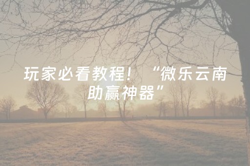 玩家必看教程！“微乐云南助赢神器”（详细开挂教程）-哔哩哔哩