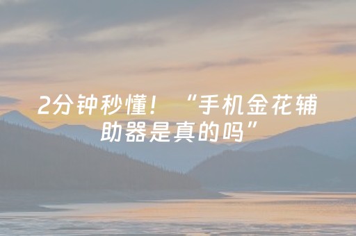 2分钟秒懂！“手机金花辅助器是真的吗”（详细辅助教程）-哔哩哔哩