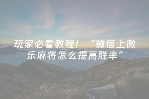 玩家必看教程！“微信上微乐麻将怎么提高胜率”（详细透视教程）-哔哩哔哩