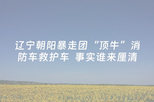 必看教程！“今日花牌有挂吗”（详细辅助教程）-哔哩哔哩