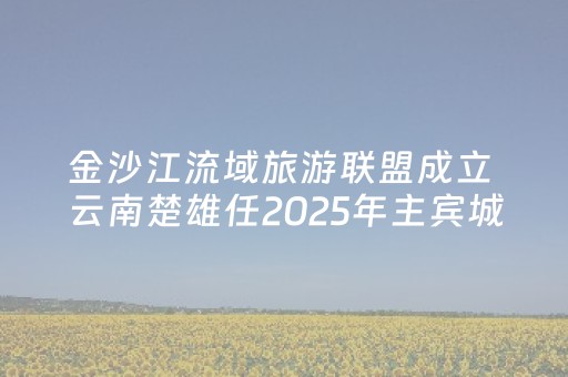 玩家必看教程！“扑克牌神器辅助器”（详细辅助教程）-哔哩哔哩